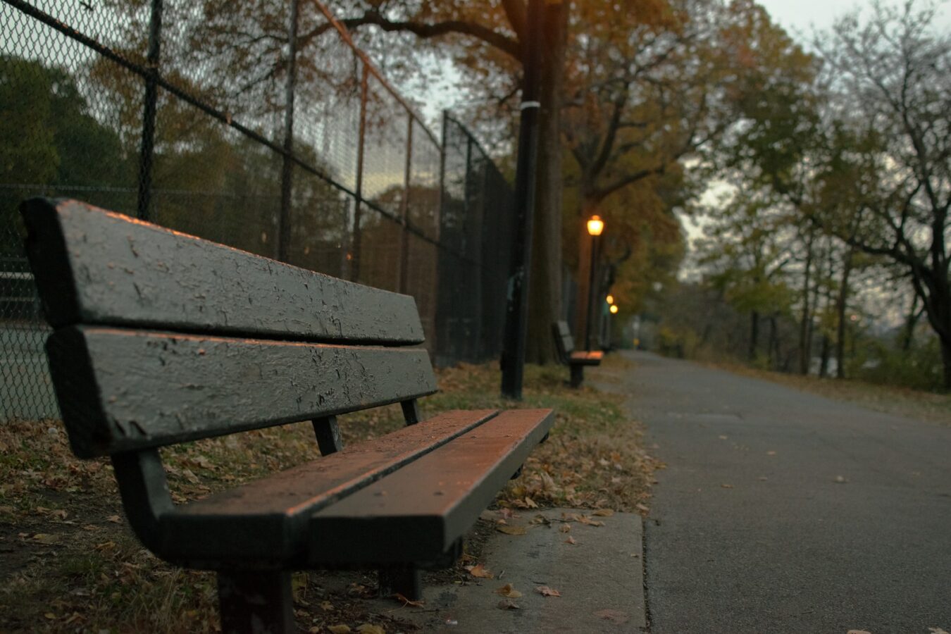 empty wooden park bench