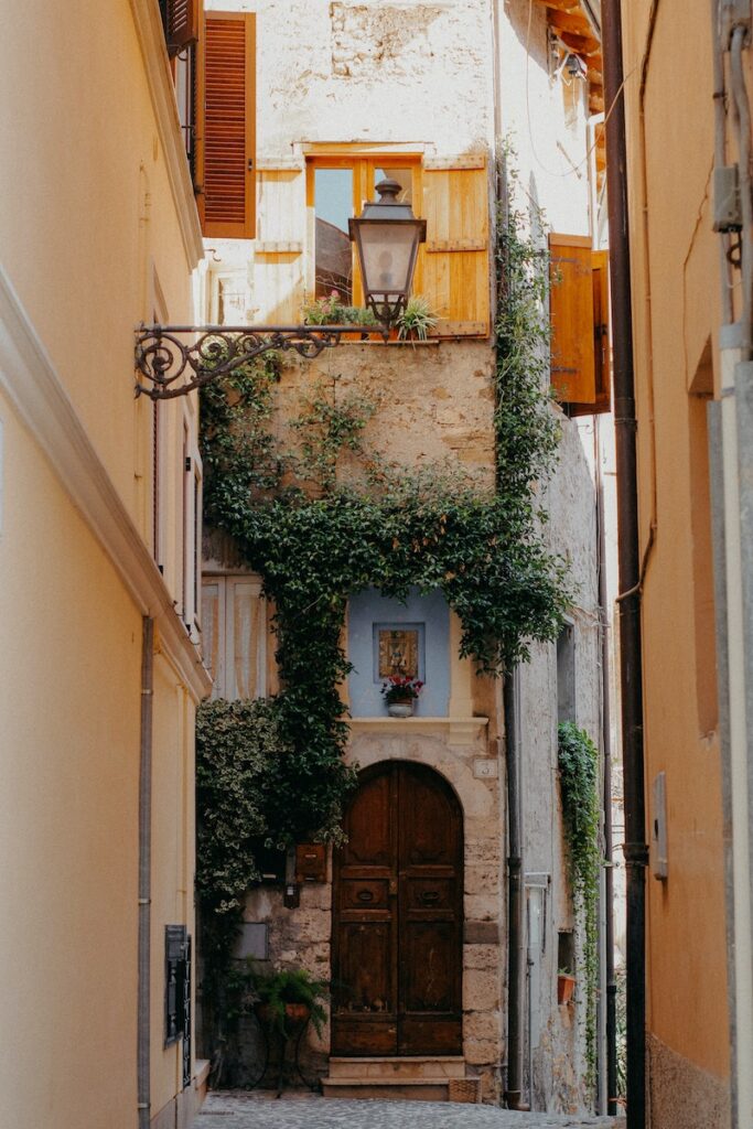 Ivy on Buildings Walls